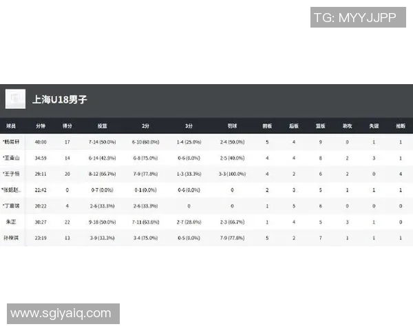 上海篮球队在世界锦标赛中的表现分析与状态评估